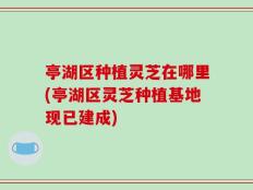 亭湖区种植灵芝在哪里(亭湖区灵芝种植基地现已建成)