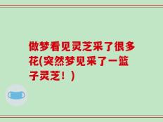 做梦看见灵芝采了很多花(突然梦见采了一篮子灵芝！)