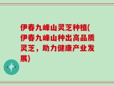 伊春九峰山灵芝种植(伊春九峰山种出高品质灵芝，助力健康产业发展)
