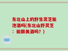 东北山上的野生灵芝能泡酒吗(东北山野灵芝：能酿美酒吗？)