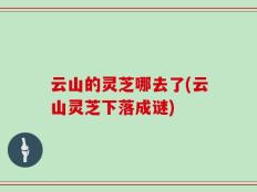云山的灵芝哪去了(云山灵芝下落成谜)