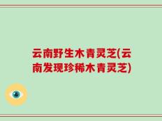 云南野生木青灵芝(云南发现珍稀木青灵芝)