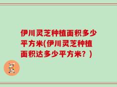 伊川灵芝种植面积多少平方米(伊川灵芝种植面积达多少平方米？)