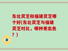 东北灵芝和福建灵芝哪个好(东北灵芝与福建灵芝对比，哪种更出色？)
