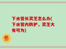 下水管长灵芝怎么办(下水管内防护，灵芝大有可为)