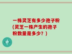 一株灵芝有多少孢子粉(灵芝一株产生的孢子粉数量是多少？)