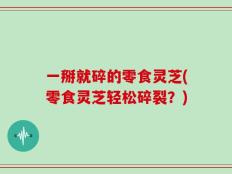 一掰就碎的零食灵芝(零食灵芝轻松碎裂？)