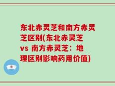 东北赤灵芝和南方赤灵芝区别(东北赤灵芝 vs 南方赤灵芝：地理区别影响药用价值)
