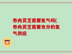养肉灵芝需要氧气吗(养肉灵芝需要充分的氧气供应