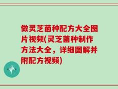 做灵芝菌种配方大全图片视频(灵芝菌种制作方法大全，详细图解并附配方视频)