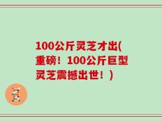 100公斤灵芝才出(重磅！100公斤巨型灵芝震撼出世！)