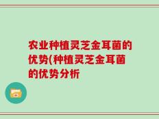 农业种植灵芝金耳菌的优势(种植灵芝金耳菌的优势分析