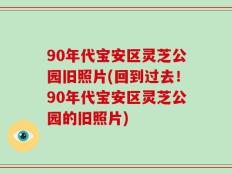 90年代宝安区灵芝公园旧照片(回到过去！90年代宝安区灵芝公园的旧照片)