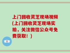 上门回收灵芝现场视频(上门回收灵芝现场实拍，关注微信公众号免费获取！)