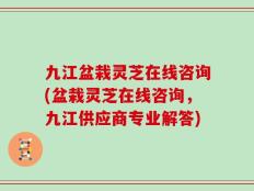 九江盆栽灵芝在线咨询(盆栽灵芝在线咨询，九江供应商专业解答)