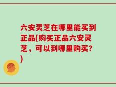六安灵芝在哪里能买到正品(购买正品六安灵芝，可以到哪里购买？)