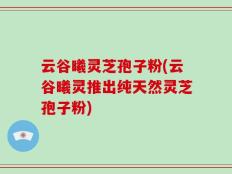 云谷曦灵芝孢子粉(云谷曦灵推出纯天然灵芝孢子粉)