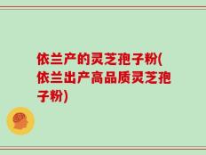 依兰产的灵芝孢子粉(依兰出产高品质灵芝孢子粉)