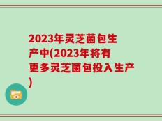 2023年灵芝菌包生产中(2023年将有更多灵芝菌包投入生产)