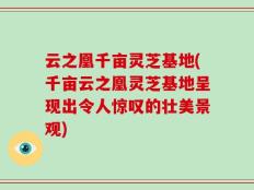 云之凰千亩灵芝基地(千亩云之凰灵芝基地呈现出令人惊叹的壮美景观)
