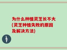 为什么种植灵芝长不大(灵芝种植失败的原因及解决方法)