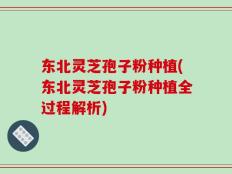 东北灵芝孢子粉种植(东北灵芝孢子粉种植全过程解析)