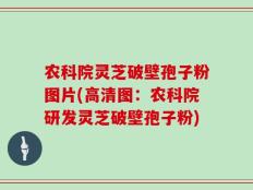 农科院灵芝破壁孢子粉图片(高清图：农科院研发灵芝破壁孢子粉)