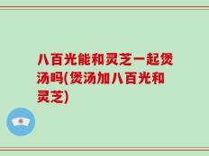 八百光能和灵芝一起煲汤吗(煲汤加八百光和灵芝)