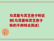 乌灵菌与灵芝孢子粉区别(乌灵菌和灵芝孢子粉的不同特点简述)