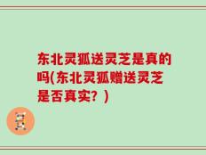 东北灵狐送灵芝是真的吗(东北灵狐赠送灵芝是否真实？)