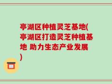 亭湖区种植灵芝基地(亭湖区打造灵芝种植基地 助力生态产业发展)
