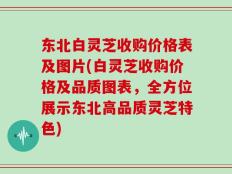 东北白灵芝收购价格表及图片(白灵芝收购价格及品质图表，全方位展示东北高品质灵芝特色)