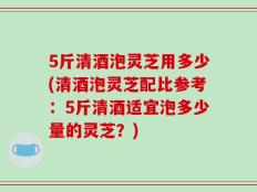 5斤清酒泡灵芝用多少(清酒泡灵芝配比参考：5斤清酒适宜泡多少量的灵芝？)