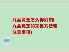 九品灵芝怎么得到的(九品灵芝的采集方法和注意事项)