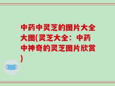 中药中灵芝的图片大全大图(灵芝大全：中药中神奇的灵芝图片欣赏)