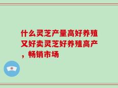 什么灵芝产量高好养殖又好卖灵芝好养殖高产，畅销市场