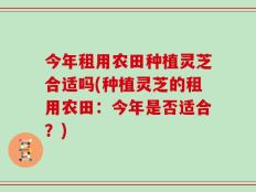 今年租用农田种植灵芝合适吗(种植灵芝的租用农田：今年是否适合？)