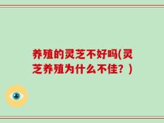 养殖的灵芝不好吗(灵芝养殖为什么不佳？)