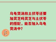 乌龟煲汤放土伏苓还要加灵芝吗灵芝与土伏苓的搭配，能否加入乌龟煲汤中？