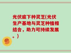 光伏底下种灵芝(光伏生产基地与灵芝种植相结合，助力可持续发展。)