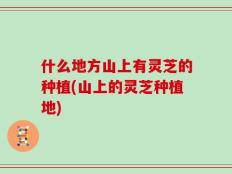 什么地方山上有灵芝的种植(山上的灵芝种植地)
