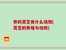 养的灵芝有什么功效(灵芝的养殖与功效)