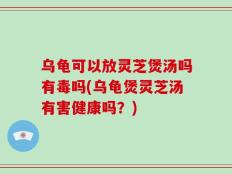 乌龟可以放灵芝煲汤吗有毒吗(乌龟煲灵芝汤有害健康吗？)