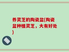 养灵芝的陶瓷盆(陶瓷盆种植灵芝，大有好处)