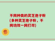 不同种类的灵芝孢子粉(多种灵芝孢子粉，不同功效一网打尽)