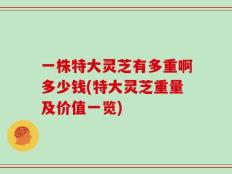 一株特大灵芝有多重啊多少钱(特大灵芝重量及价值一览)