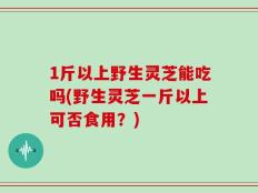 1斤以上野生灵芝能吃吗(野生灵芝一斤以上可否食用？)