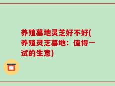 养殖墓地灵芝好不好(养殖灵芝墓地：值得一试的生意)