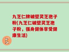 九芝仁牌破壁灵芝孢子粉(九芝仁破壁灵芝孢子粉，强身健体享受健康生活)