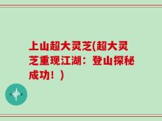 上山超大灵芝(超大灵芝重现江湖：登山探秘成功！)